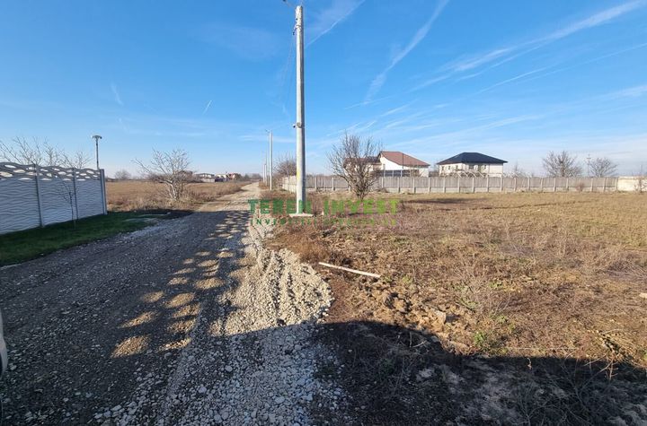 VANZARE TEREN INTRAVILAN 950 MP CERNICA-TANGANU anunturi imobiliare Bucuresti