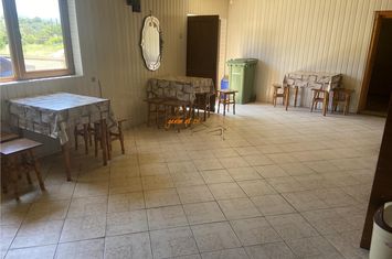 Spațiu comercial de vanzare REGHIU - Vrancea anunturi imobiliare Vrancea