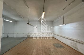 Hala de 670 mp cu birouri 50 mp,  Zona Semicentrala anunturi imobiliare Timis