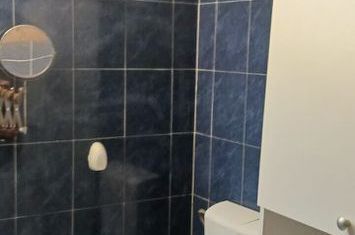 Tineretului -Timpuri Noi  vanzare ap. 2 cam dec anunturi imobiliare Bucuresti