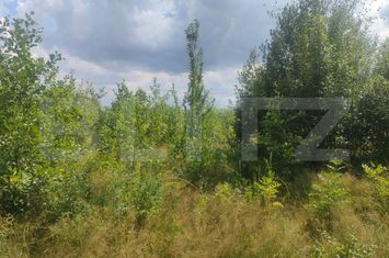 Teren de vanzare HORODNIC - Suceava anunturi imobiliare Suceava