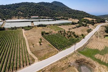 Teren agricol 2.500 mp în Mirtofito, Kavala anunturi imobiliare Grecia