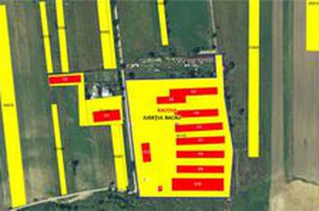 Teren Intravilan de vanzare CENTRAL - Bacau anunturi imobiliare Bacau