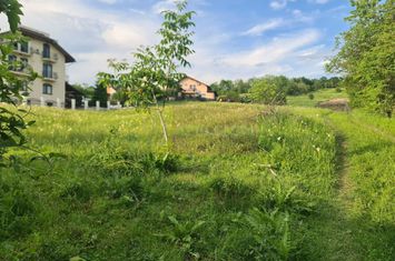 Teren Intravilan de vanzare MUSCEL - Prahova anunturi imobiliare Prahova