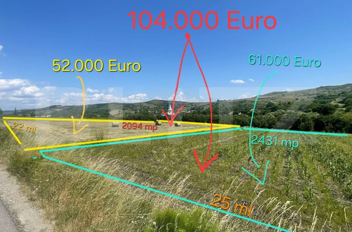 Teren de vanzare CHINTENI - Cluj anunturi imobiliare Cluj