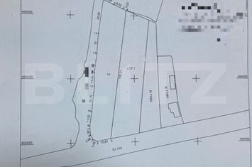Teren de vanzare BEZDEAD - Dambovita anunturi imobiliare Dambovita