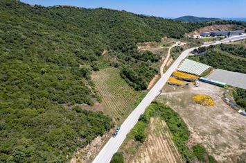 Teren 6.059 mp la intrarea în Folia anunturi imobiliare Grecia
