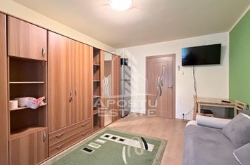 Garsoniera renovata complet Blascovici Parter anunturi imobiliare Timis