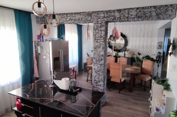 Vilă - 7 camere de vanzare SATU MARE - Satu Mare anunturi imobiliare Satu Mare