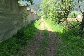Teren de vânzare în Bușteni anunturi imobiliare Prahova