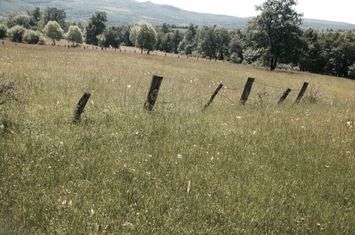 Teren Intravilan 720 mp. Bistra Muresului anunturi imobiliare Mures