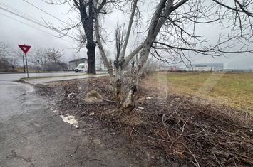 Teren de vanzare MICRO 11 - Dambovita anunturi imobiliare Dambovita