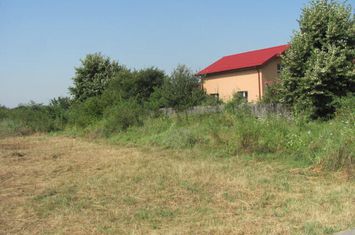 Teren Intravilan de vanzare DN6 - SOS. BUCURESTI-ALEXANDRIA - Bucuresti anunturi imobiliare Bucuresti