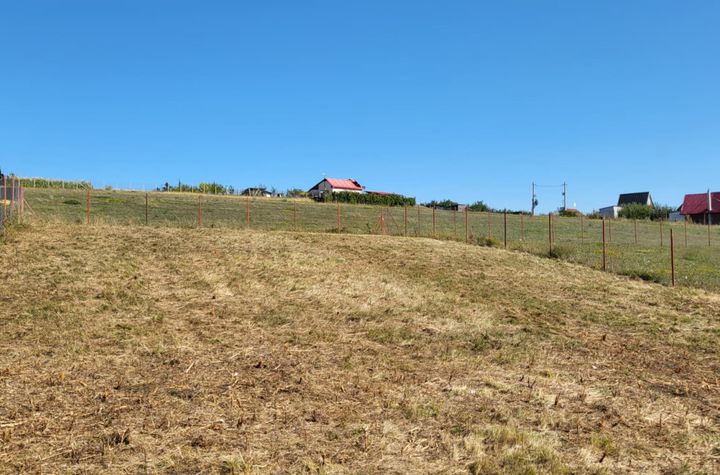 Teren de vanzare SURA MARE - Sibiu anunturi imobiliare Sibiu