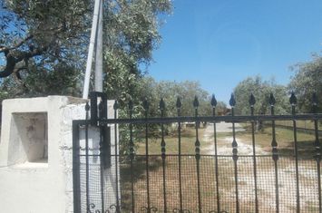 Teren construibil 7310 mp, Skala Kallirachis anunturi imobiliare Grecia