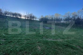 Teren de vanzare OARDA - Alba anunturi imobiliare Alba