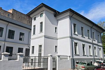 CISMIGIU || STIRBEI VODA VILA INTERBELICA IDEAL CLINICA MEDICALA anunturi imobiliare Bucuresti