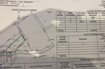 Teren Extravilan de vanzare MOGOSOAIA - Bucuresti anunturi imobiliare Bucuresti