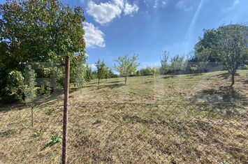 Teren de vanzare AGHIRES - Salaj anunturi imobiliare Salaj