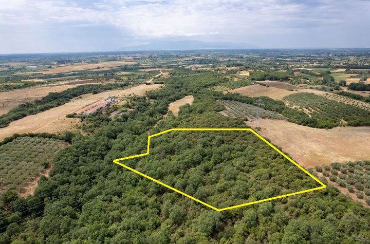 Teren 8.437 mp în Gerontas, Nestos anunturi imobiliare Grecia
