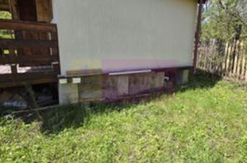 Teren cu Casuta de lemn in Sotrile (langă Valea Doftanei) anunturi imobiliare Prahova