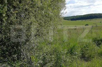 Teren de vanzare SANGEORGIU DE MURES - Mures anunturi imobiliare Mures