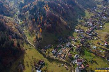 Teren Intravilan de vanzare MOIECIU - Brasov anunturi imobiliare Brasov