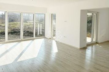 Casa finisata 4 camere si 600mp teren de vanzare in Paleu anunturi imobiliare Bihor