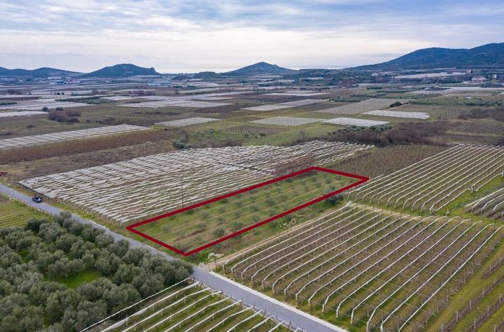 Teren construibil 2.378 mp în Elaiochori anunturi imobiliare Grecia