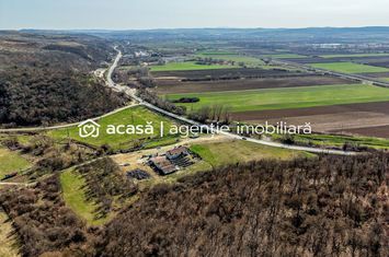 Oportunitate Investitie! Proprietate comerciala/industriala în Paulis anunturi imobiliare Arad