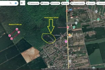 Foto 3 Oportunitate rară: Teren 28.000mp în Săftica-Balotești anunturi imobiliare Saftica