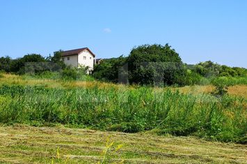 Teren de vanzare BACIU - Cluj anunturi imobiliare Cluj