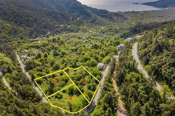 Teren construibil 2177 mp în Panagia, Thassos anunturi imobiliare Grecia