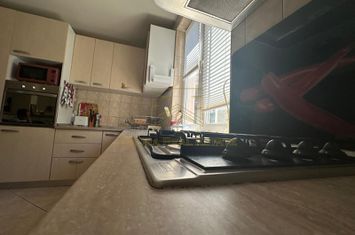 Vanzare - Vila - 7 camere - Curte 511 mp - Parcul Mogosoaia anunturi imobiliare Bucuresti