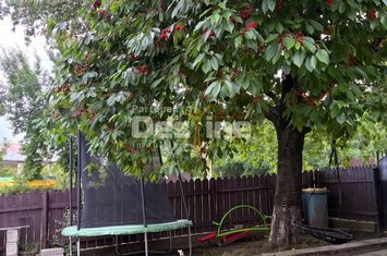 Casă - 2 camere de vanzare ARONEANU - Iasi anunturi imobiliare Iasi