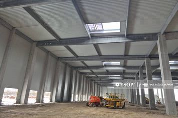 Spațiu industrial de inchiriat DRISTOR - Bucuresti anunturi imobiliare Bucuresti