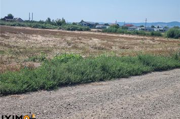Teren Intravilan de vanzare CENTRAL - Bacau anunturi imobiliare Bacau