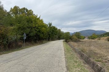 Teren de vanzare RUNCU - Gorj anunturi imobiliare Gorj