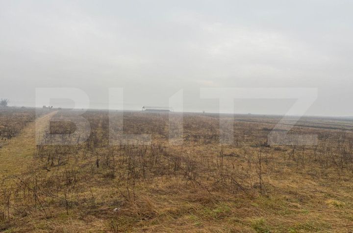 Teren de vanzare BISTRITA - Bistrita-Nasaud anunturi imobiliare Bistrita-Nasaud