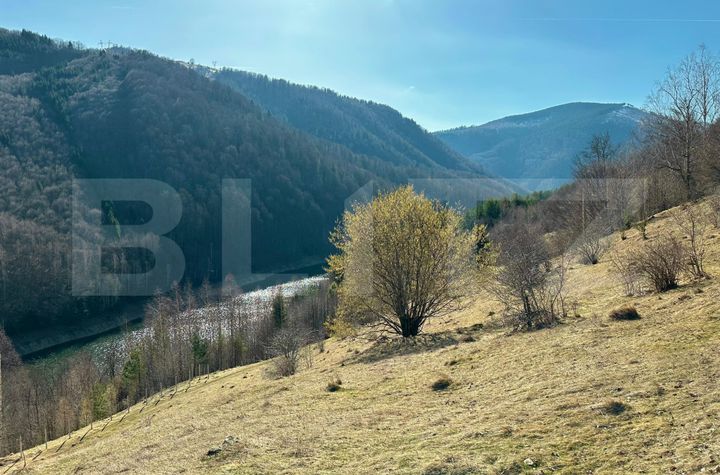 Teren de vanzare ALBA IULIA - Alba anunturi imobiliare Alba