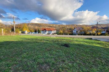 Teren de vanzare BALANESTI - Gorj anunturi imobiliare Gorj