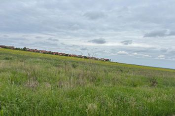 Teren de vanzare PALEU - Bihor anunturi imobiliare Bihor