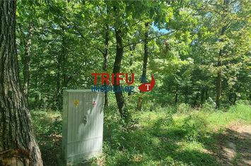 Teren Intravilan de vanzare CENTRAL - Alba anunturi imobiliare Alba