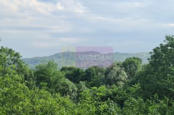 Vila de vanzare cu 6 camere in Cornu (teren 6.600 mp) anunturi imobiliare Prahova