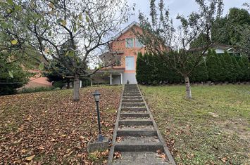 Vila individuală de vânzare în Livezeni, la doi pași de Târgu Mureș | Comision 0 anunturi imobiliare Mures