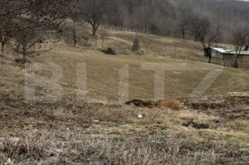 Casă - 2 camere de vanzare IASI - Iasi anunturi imobiliare Iasi