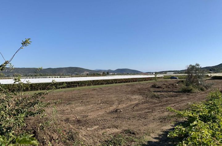 Teren agricol 6.700 mp în Elaiochori, Kavala anunturi imobiliare Grecia