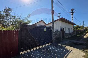 Casă / Vilă cu 4 camere de vânzare anunturi imobiliare Vaslui