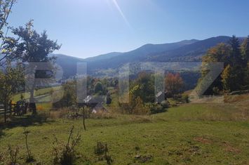 Teren de vanzare ORADEA - Bihor anunturi imobiliare Bihor