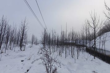 Casă - 3 camere de vanzare NEGOSTINA - Suceava anunturi imobiliare Suceava